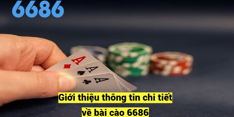 Giới thiệu thông tin chi tiết về bài cào 6686