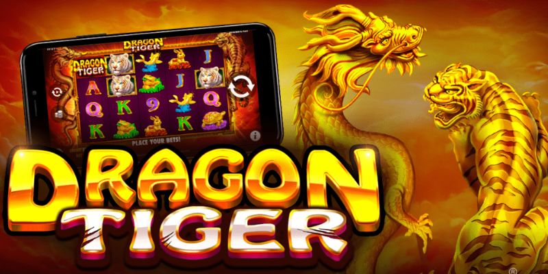 Giới thiệu sơ lược về nổ hũ Dragon Tiger 6686