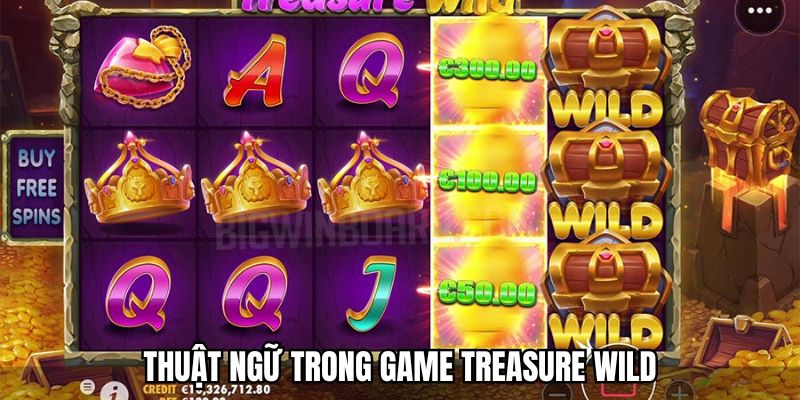 Giới thiệu các thuật ngữ thông dụng trong game Treasure Wild