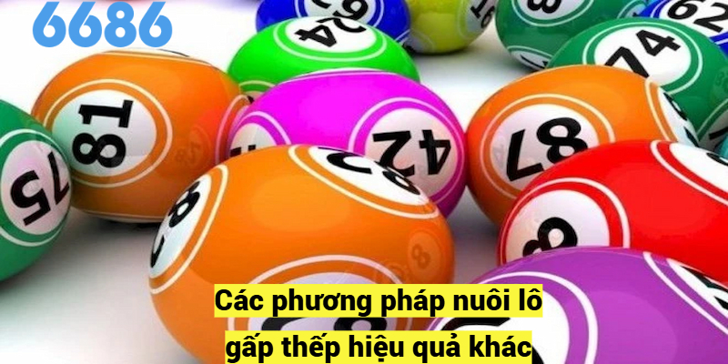 Các phương pháp nuôi lô gấp thếp hiệu quả khác