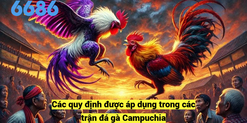 Các quy định được áp dụng trong các trận đá gà Campuchia