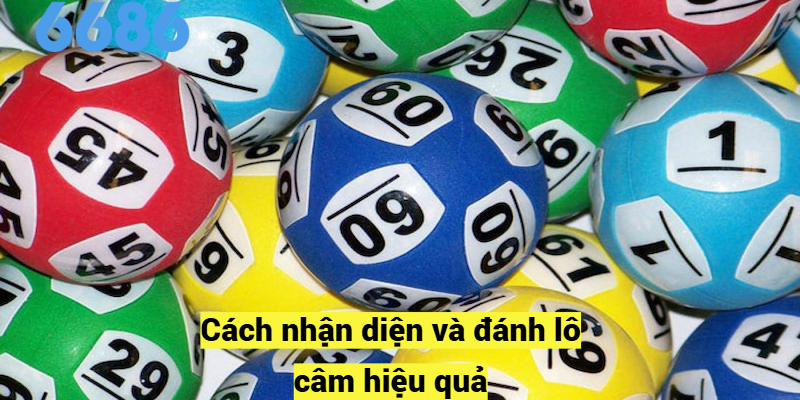 Cách nhận diện và đánh lô câm hiệu quả